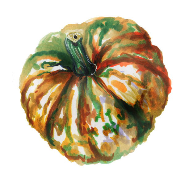 秋天橙色的南瓜孤立在白色的背景上。秋天收获了不同寻常的南瓜。水彩插图。手绘图片下载