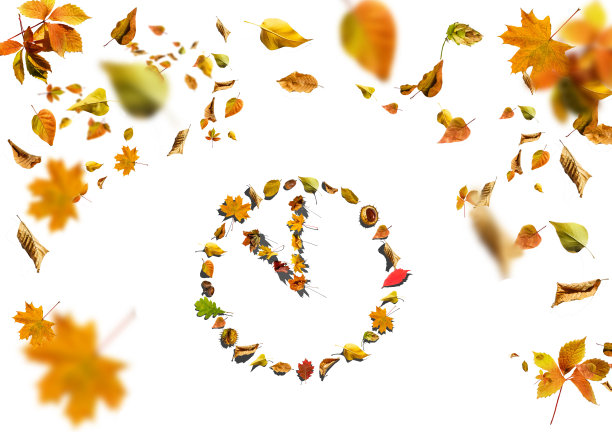 手表表盘上的树叶以白色为背景图片下载