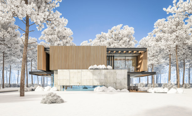 现代住宅的3d渲染与木板立面在冬天图片下载