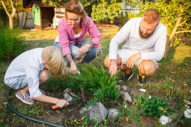 在室外花园中照料花草，阖家欢乐。爱、家庭、生活方式、收获理念。图片下载