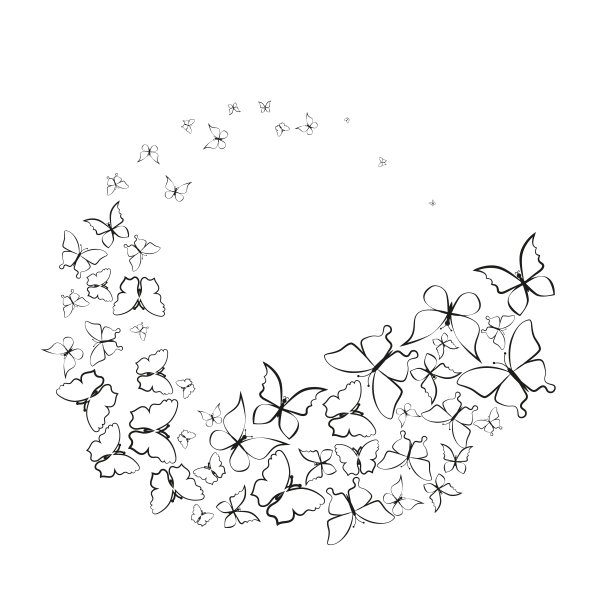 剪影，美丽的蝴蝶，孤立在白色图片下载