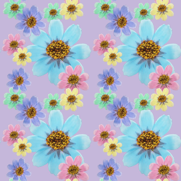 宇宙,kosmeya。插图，花的纹理。用于连续复制的无缝模式。花卉背景，照片拼贴为纺织品，棉布面料。用于墙纸，封面图片下载