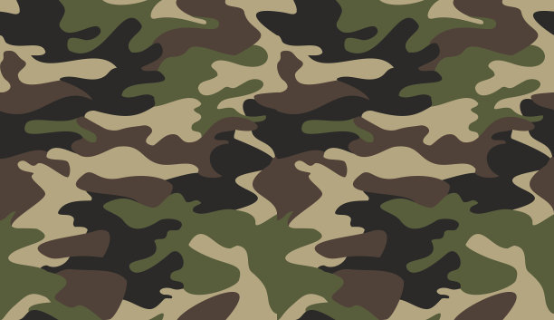 迷彩图案背景的经典服装图片下载
