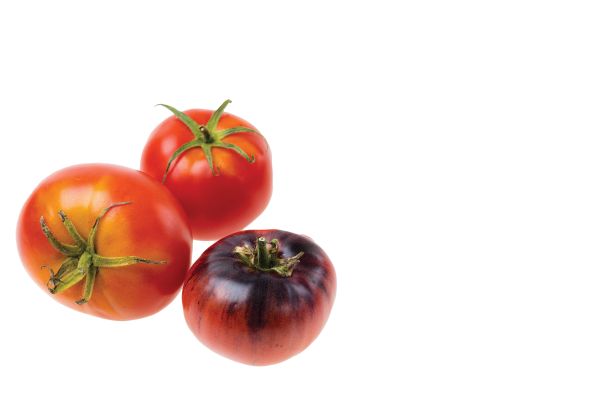 近距离观察成熟的红色番茄孤立的白色背景。有机蔬菜的概念。图片下载