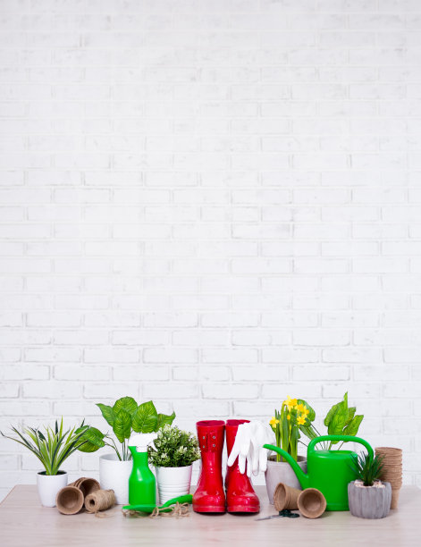 白色砖墙上的盆花和园艺工具组成图片下载