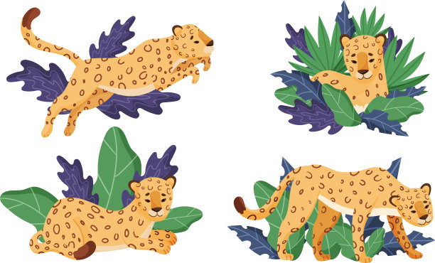 栖息在热带树叶附近的有斑点的豹子图片下载