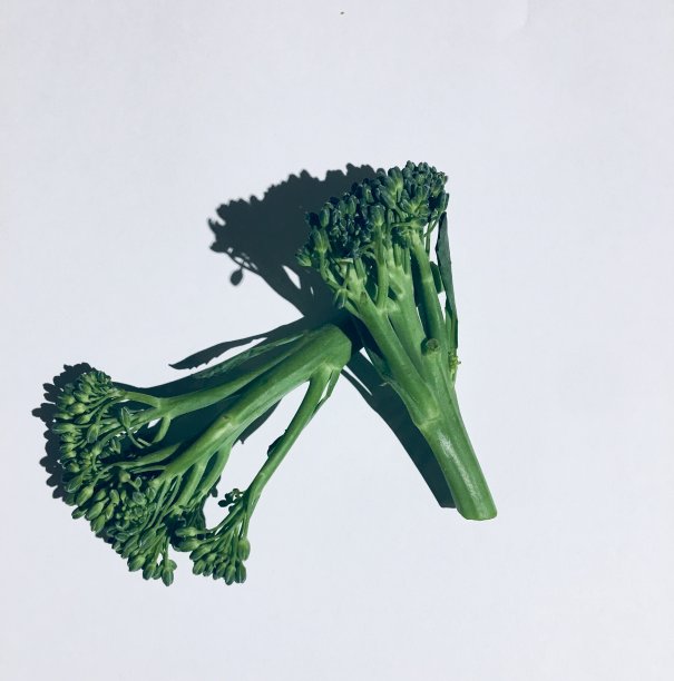 西兰花图片下载