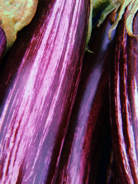 茄子模式背景图片下载