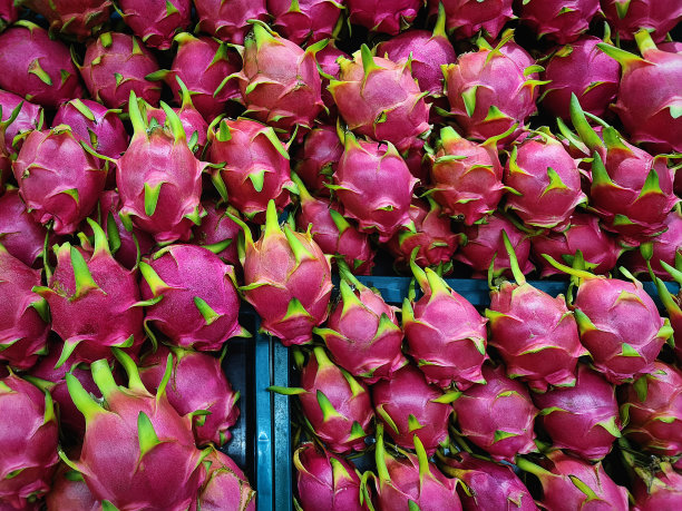 全框背景的新鲜粉红龙果在超级市场图片下载