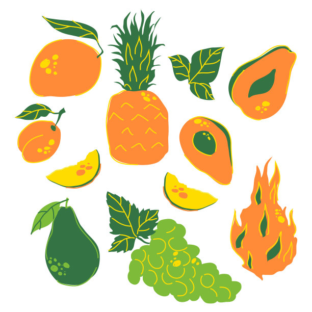 有浆果和绿色树枝的程式化的水果图片下载