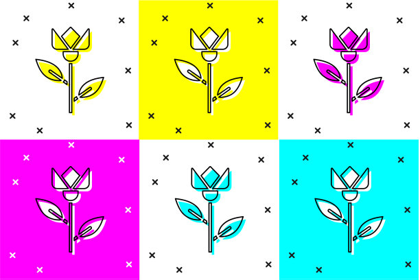 设置花郁金香图标孤立的颜色背景图片下载