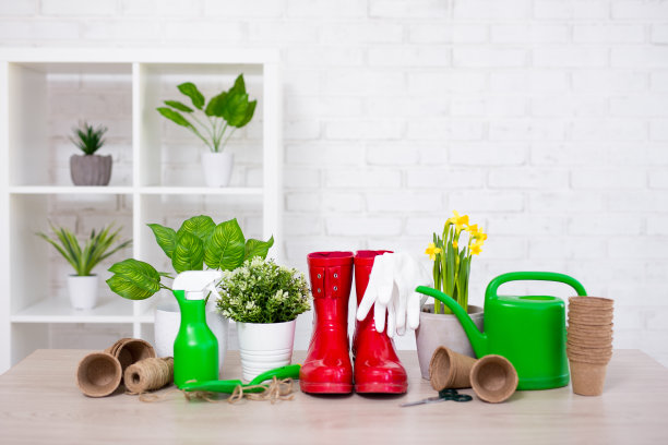 白色砖墙上有空间的盆花和园艺工具图片下载