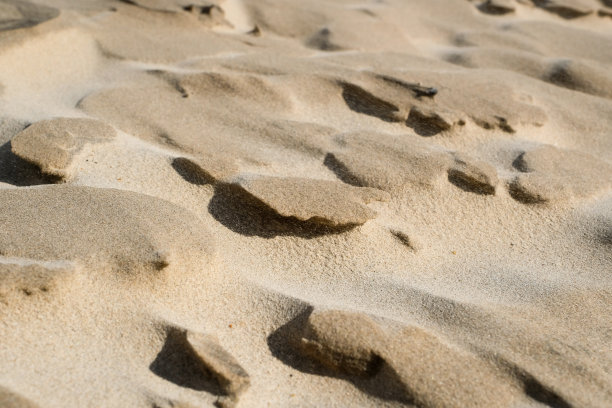 移动沙丘Rabjerg英里图片下载