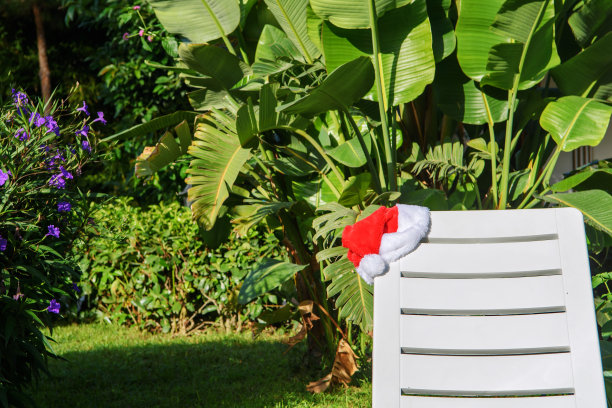 圣诞老人坐在热带树旁的躺椅上。圣诞假期。新年的庆祝活动。旅游目的地图片下载