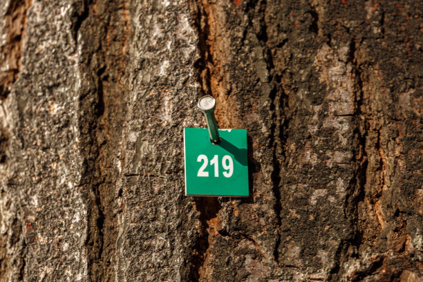 树皮上的金属编号图片下载