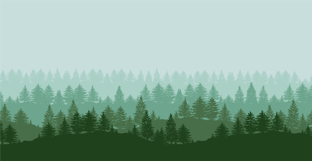 森林树木的剪影背景图片下载