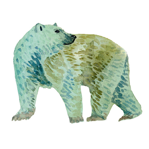 水彩手绘白熊孤立的白色背景。图片下载