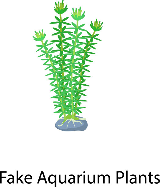 假水族植物图标等距风格图片下载