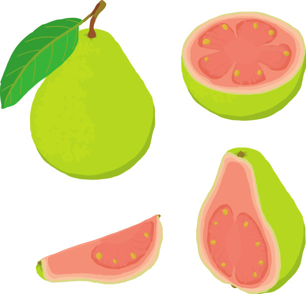 番石榴图标设置等距样式图片下载