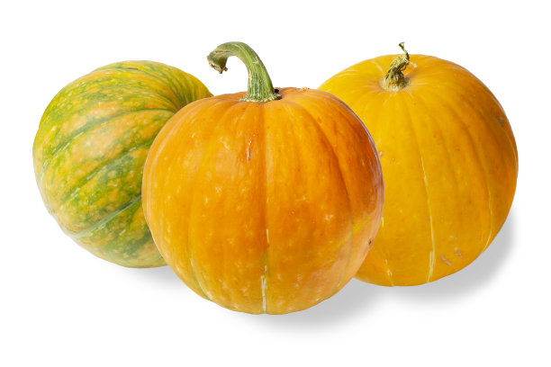 不同大小的南瓜隔离在白色，特写。感恩节和万圣节的概念。图片下载
