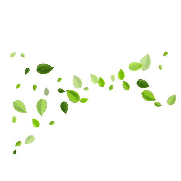 绿色的树叶漩涡小册子森林图片下载