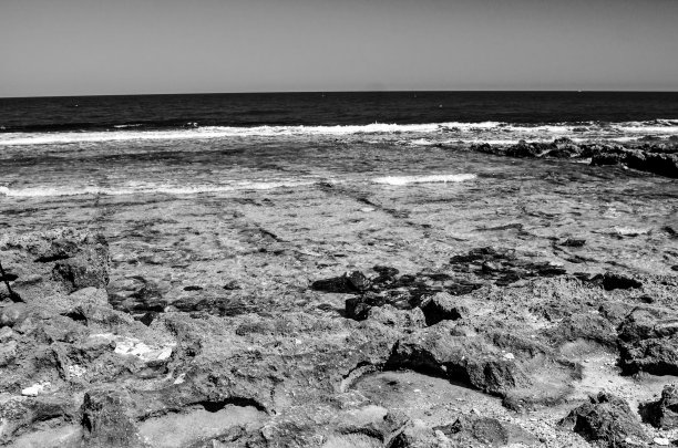 珊瑚礁图片下载