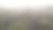 森林里正在下雨图片下载