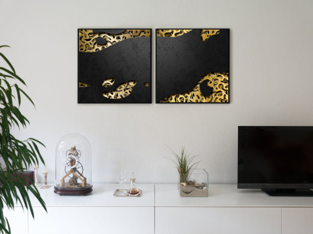 客厅内部的家具和两个艺术品展览的框架，一个白色的墙图片下载