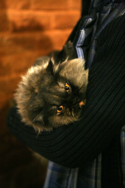 动物医院图片下载