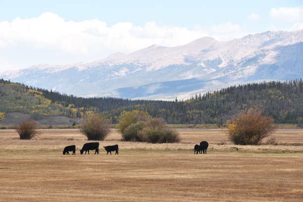 牛和山图片下载