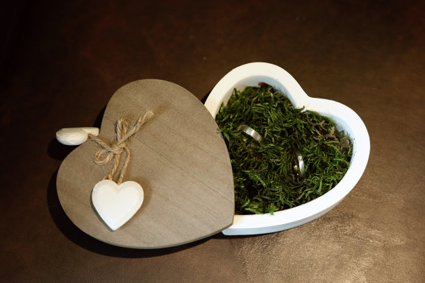 婚礼……结婚戒指……图片下载