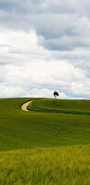 托斯卡纳乡村景观图片下载