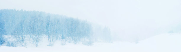 雪景全景云景。冬季森林和峡谷，降雪，蓝色调图片下载