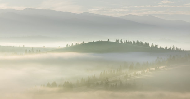 晨雾蒙蒙的景观与森林和树木在山区山谷图片下载