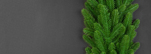 旗帜顶视图框架由杉树在彩色背景与复制空间。圣诞快乐的概念图片下载