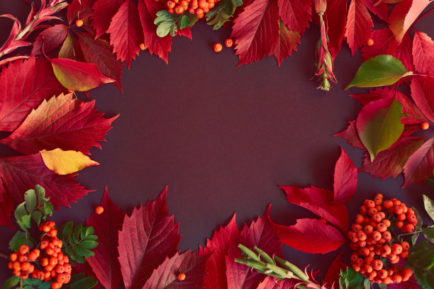 秋天用红叶构成。图片下载