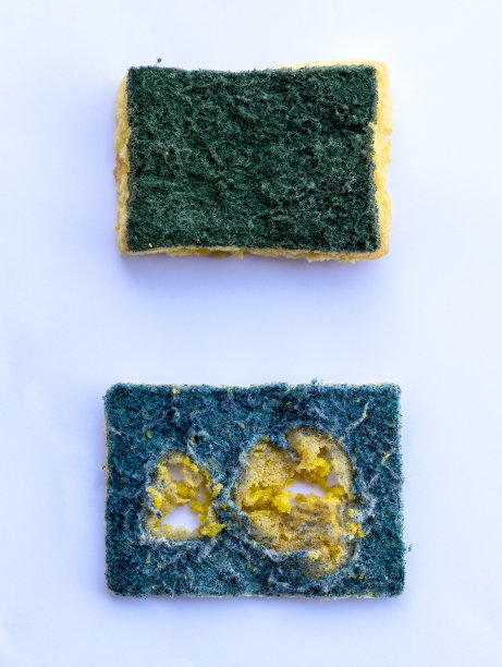 洗旧的海绵垫放在白纸上。图片下载