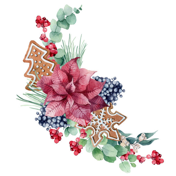 水彩插图，圣诞构图云杉，松树，桉树枝，浆果，棉花，圣诞姜饼和多肉图片下载
