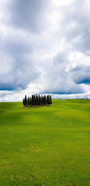 托斯卡纳乡间的一组柏树图片下载