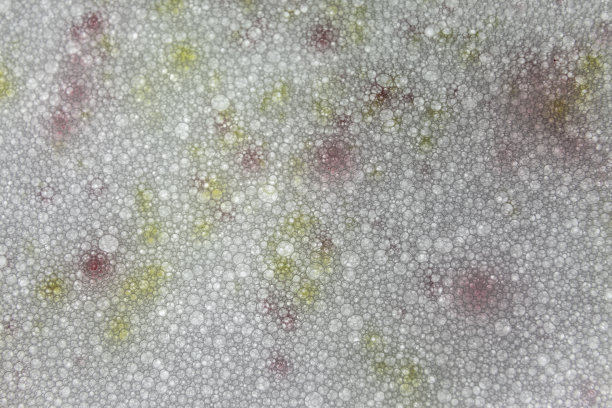 化学结构。一系列气泡的照片。抽象的背景。图片下载