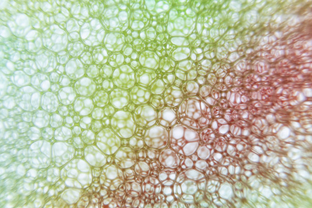 化学结构。一系列气泡的照片。抽象的背景。图片下载