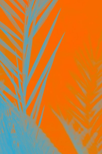 蓝色灰色枣棕榈叶上生动的橙色葱郁的熔岩背景图片下载
