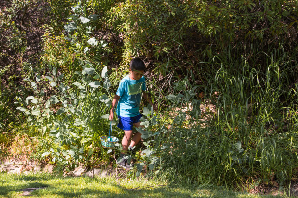 复活节期间，男孩在公园里寻找彩蛋图片下载