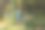 复活节期间，男孩在公园里寻找彩蛋图片下载
