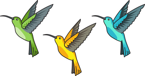 蜂鸟，绿色，黄色，蓝色热带图片下载