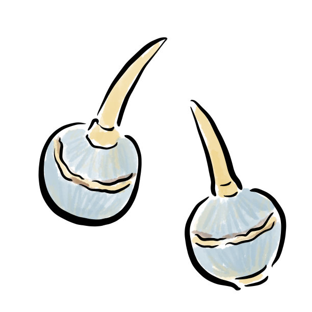 箭头蔬菜插图图片下载