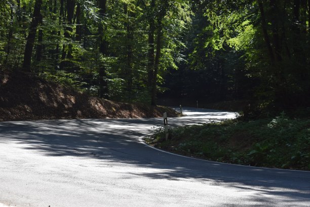 森林中的s曲线图片下载