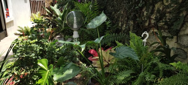 家庭花园图片下载