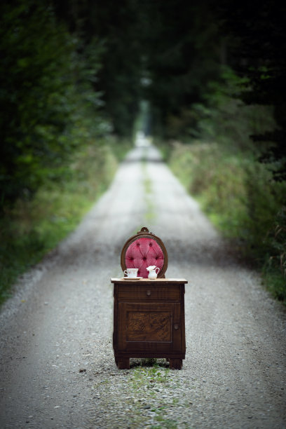 森林里的红色复古椅子和一个小马桶图片下载