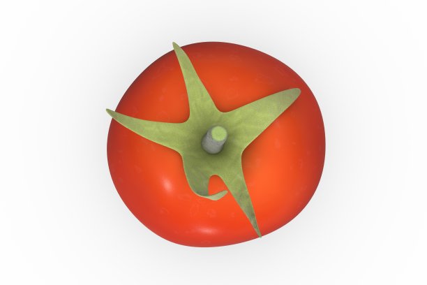 番茄的3D渲染图片下载